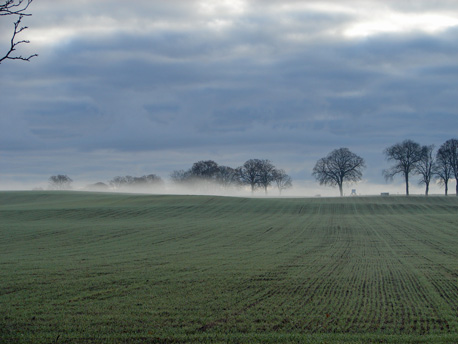 Morgennebel bei Zirchow