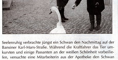 karl-marx-schwan.jpg