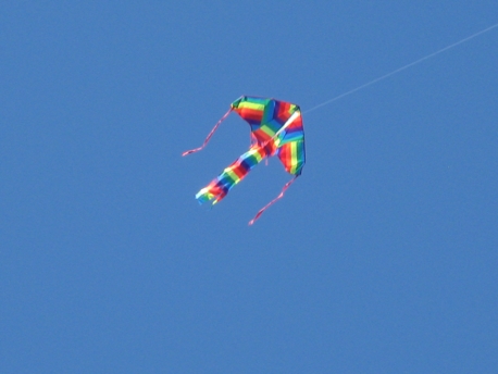 blauer-drache.jpg