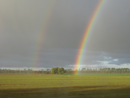 regenbogen.jpg