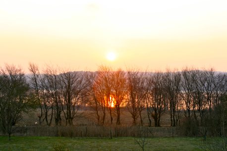 Wintersonne über dem Gothensee