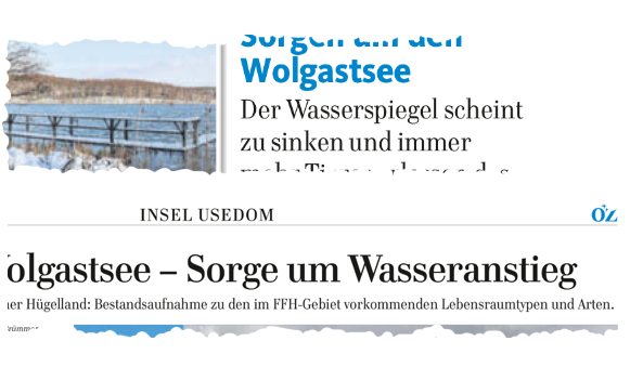 Wolgastsee Wasserstand